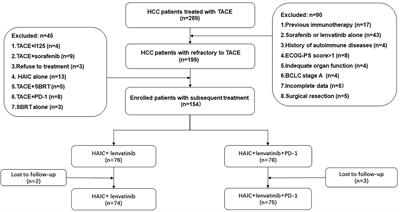 Efficacy and safety of hepatic artery infusion chemotherapy combined with tyrosine kinase inhibitors plus programmed death-1 inhibitors for hepatocellular carcinoma refractory to transarterial chemoembolization